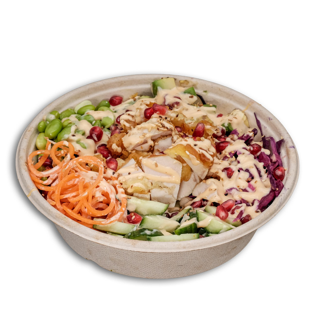 Poke Bowl Sao Paulo