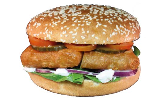 Chicken-Pics-Burger