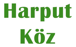 Allgemeinen Geschäftsbedingungen - Harput Köz in Lauenburg - Türkisches Restaurant Online bestellen - restablo.de